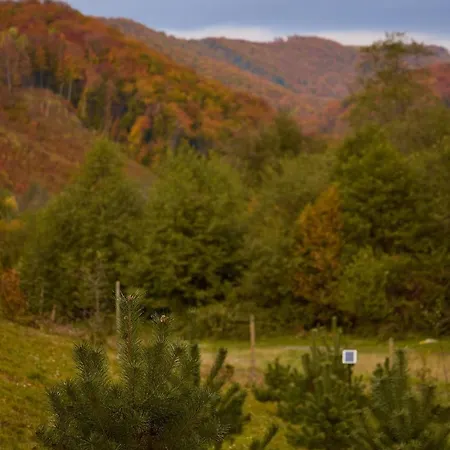 Dobrede - будиночки під лісом Dubrynychi
