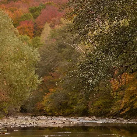 Dobrede - будиночки під лісом Ferienhaus Dubrynychi