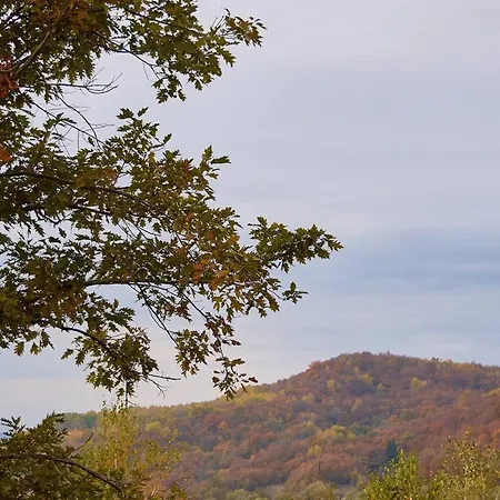 Dobrede - будиночки під лісом Ferienhaus *